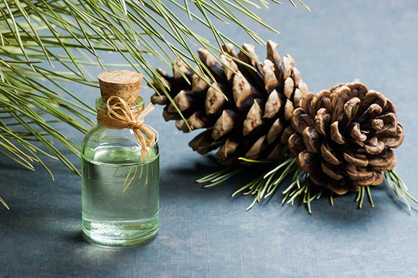 “Terrain: The Workshops” on BrightU: How a banned 19th-century remedy is reversing “incurable” modern diseases