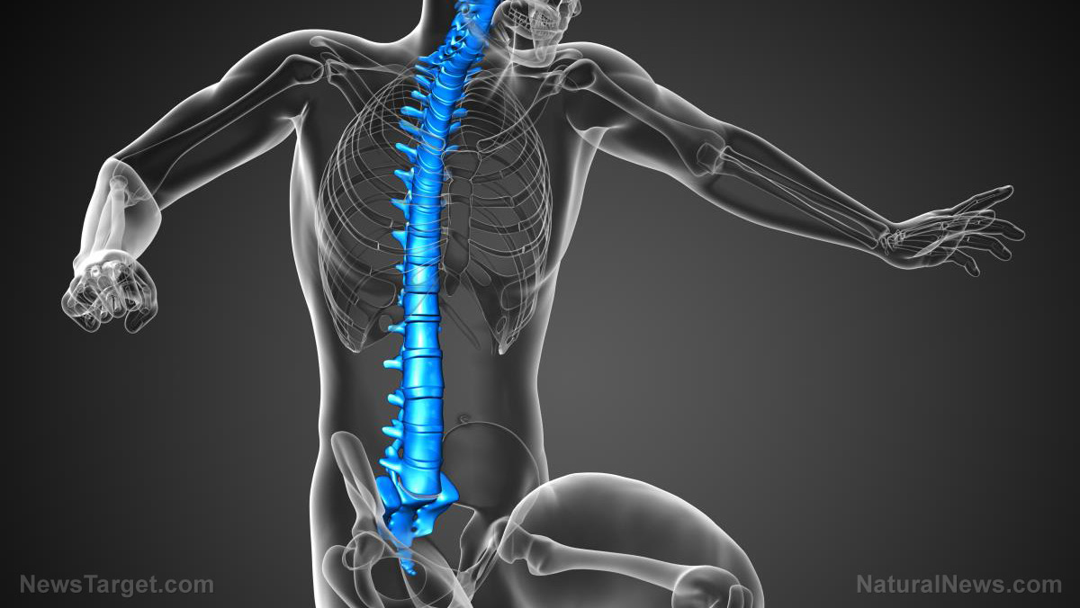 “Beyond The Diagnosis” on BrightU: How the atlas bone controls your bodyâs cancer-fighting arsenal
