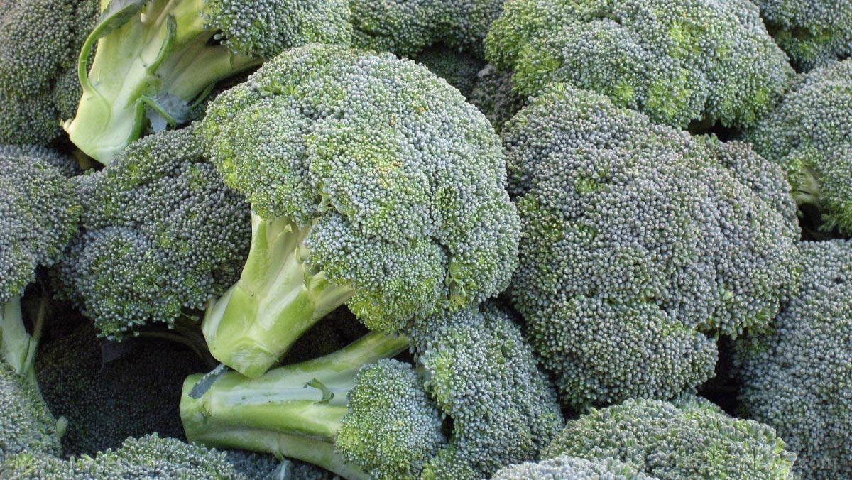 How a maligned vegetable became a modern nutritional powerhouse
