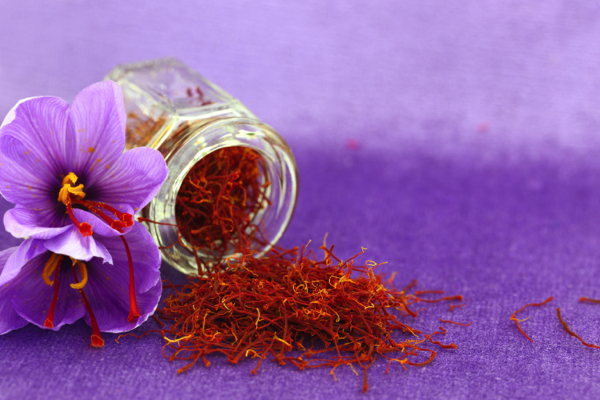 The golden spice’s new frontier: Ancient saffron shows promise in calming modern gut and mind ailments