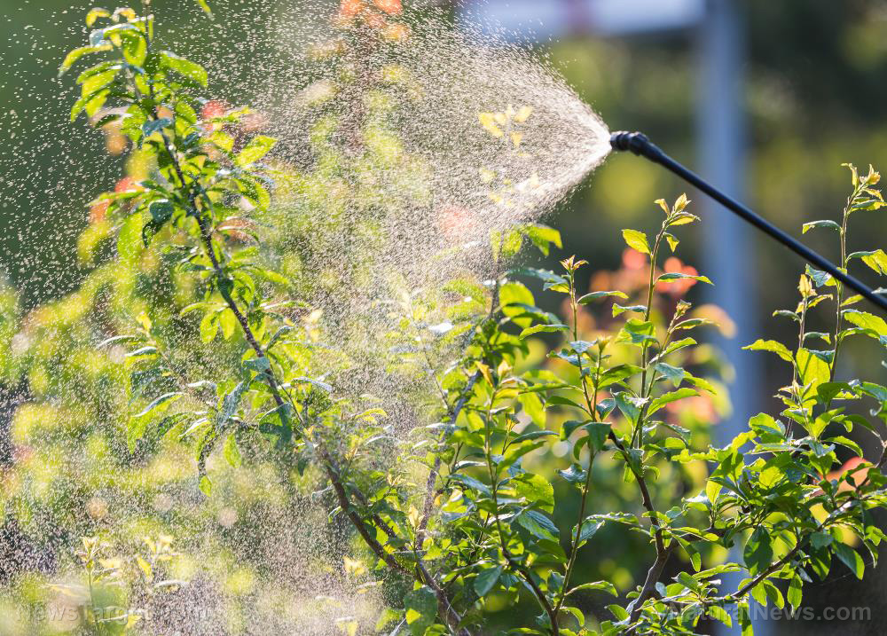 New study reveals “chemical cocktails” in common herbicides cause gut damage even at “safe” levels