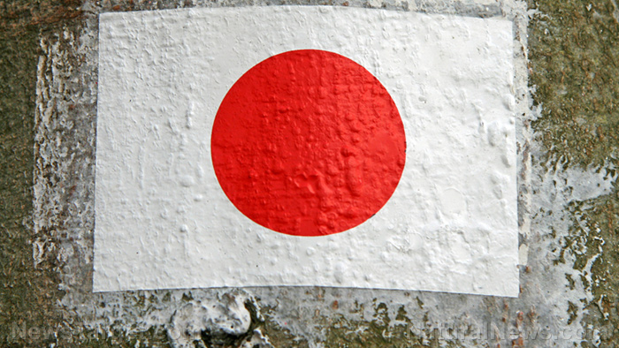 Japan joins South Africa’s genocide case against Israel at ICJ â a historic turning point