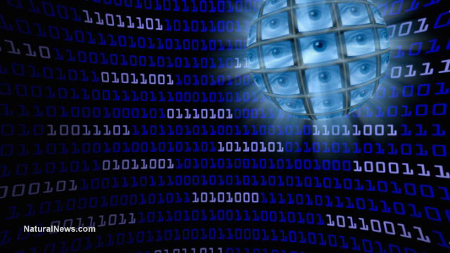 The Justice Department turned Google searches into a covert dragnet and the Fourth Amendment never got its day in court