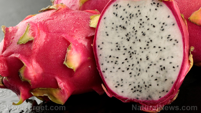 Beat the heat: 17 summer foods to keep your body cool and adapted