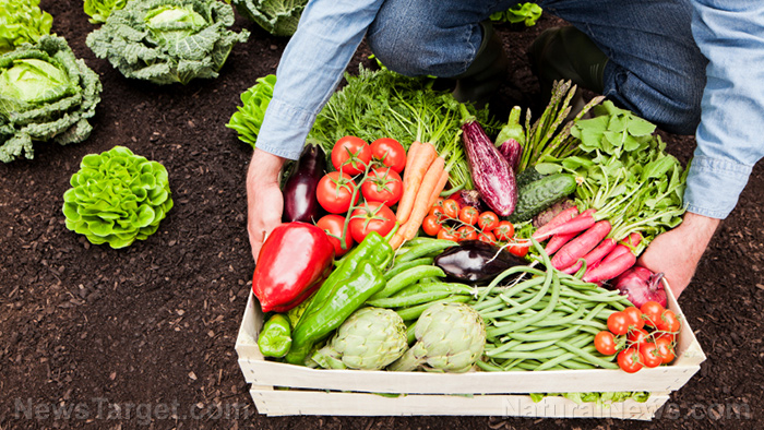“Breaking the Chains” on BrightU: How food forests are defeating the globalist depopulation agenda
