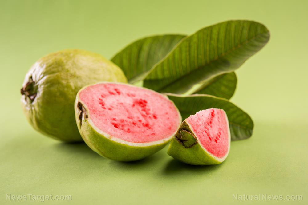 Guava juice shows promise in fighting anemia among women in developing nations, study finds