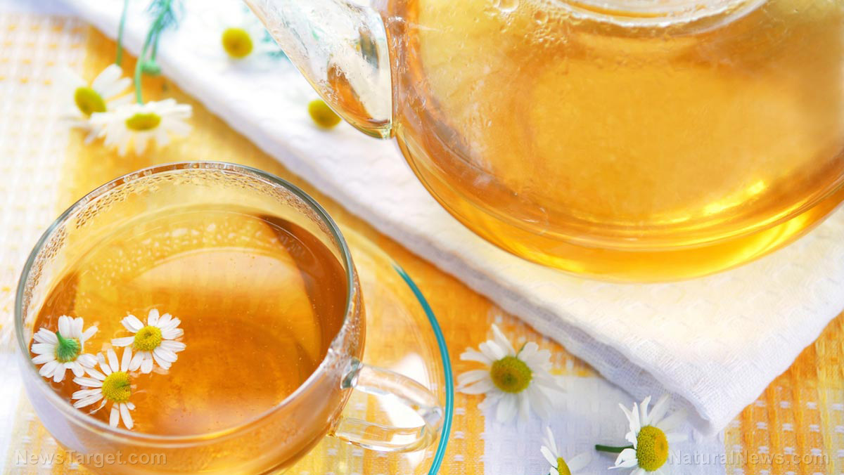 Herbal teas: Nature’s secret to health amid Big Pharma’s suppression