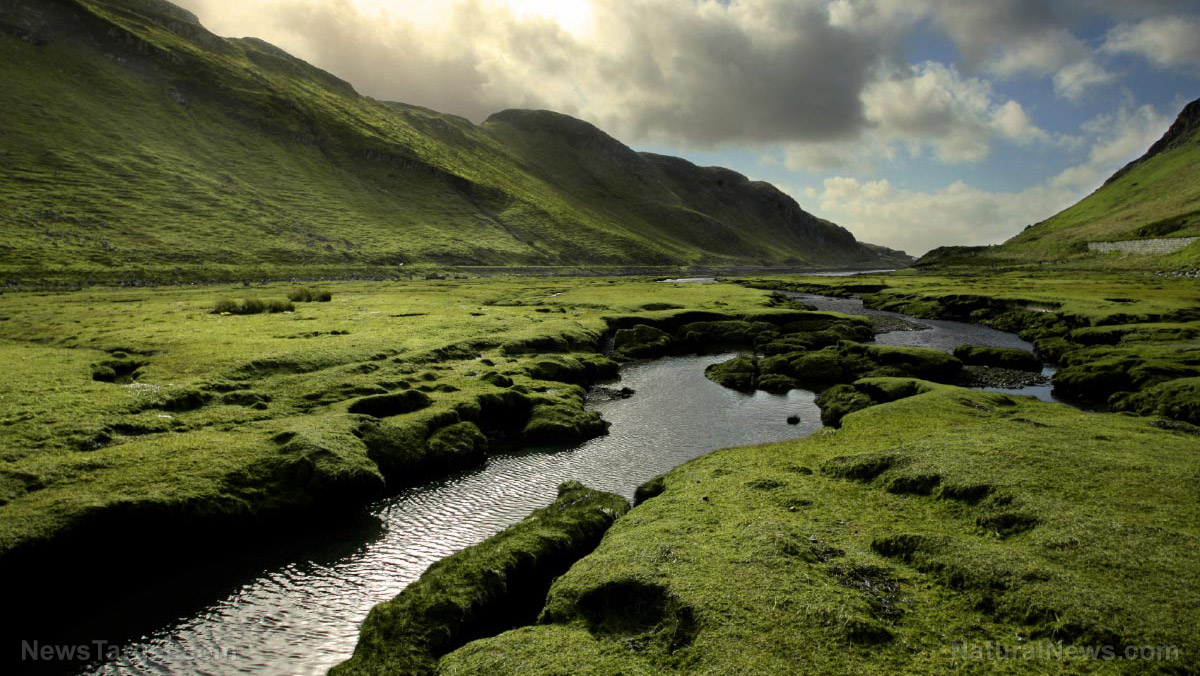 Scientists trace origins of Euphrates Riverâdescribed in the Bible as one of four waterways flowing from Garden of Eden