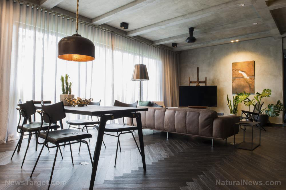 Breathe easy: How modern air purifiers are redefining fresh indoor living