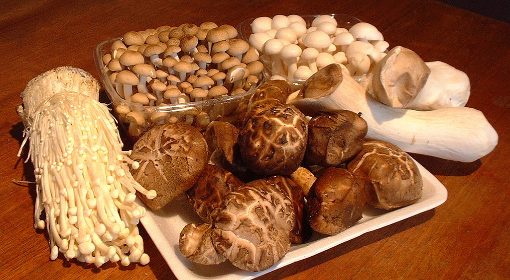 The convergence of nature and innovation in one seven-mushroom blend