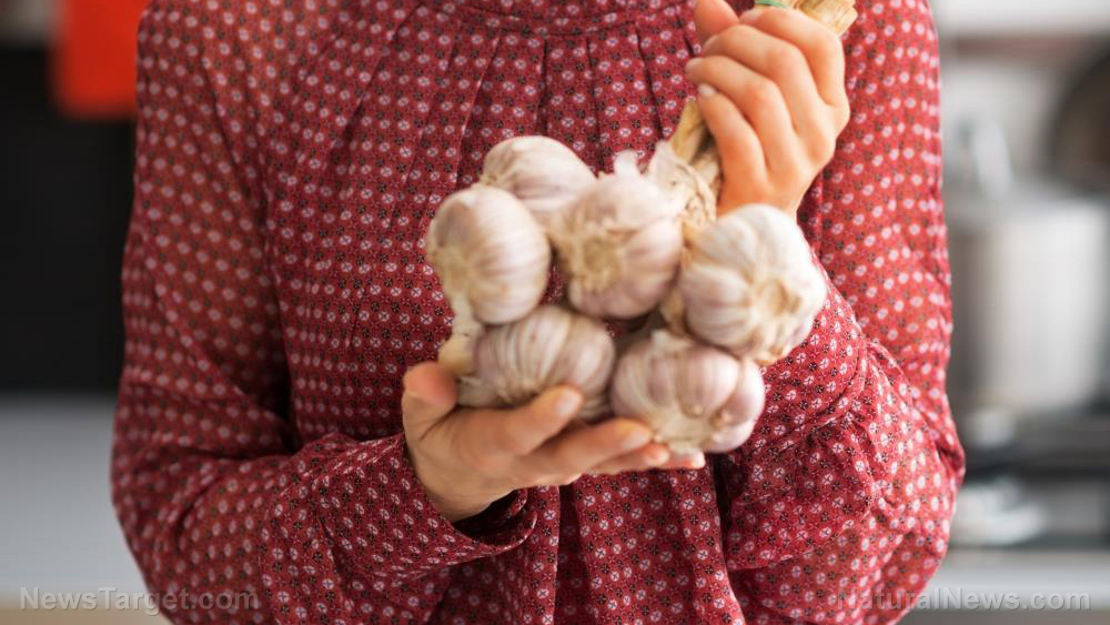 How your grocery list could be your best defense against cellular aging