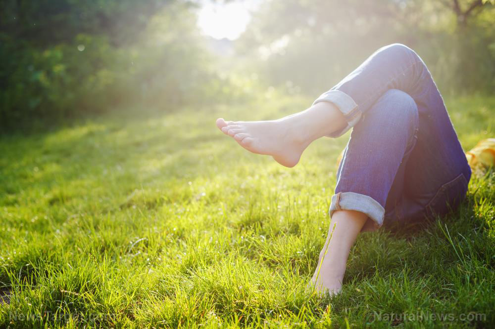 Sunlight emerges as natureâs antidepressant as Americans spend 87% of their lives indoors