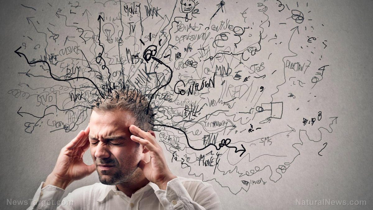 The digital delusion: How AI chatbots are fueling a mental health crisis