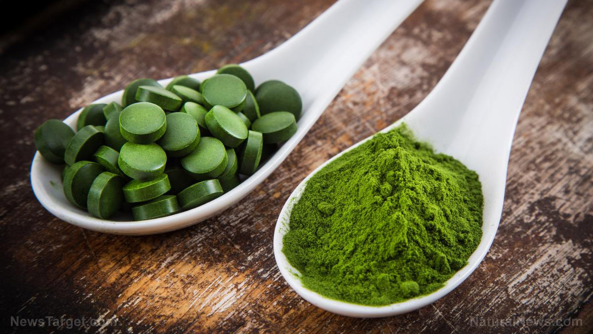 Chlorella: The tiny green tablet that could be your survival stockpile secret