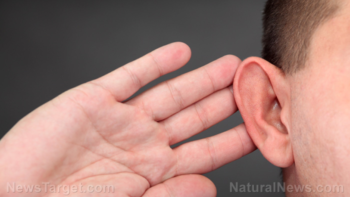 Physical fitness linked to better hearing in adults over 50, new study finds