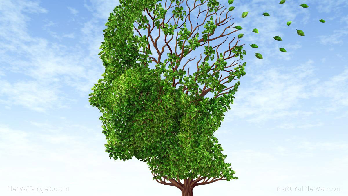 The silent alarm: How your body’s internal clock could hold the key to preventing dementia