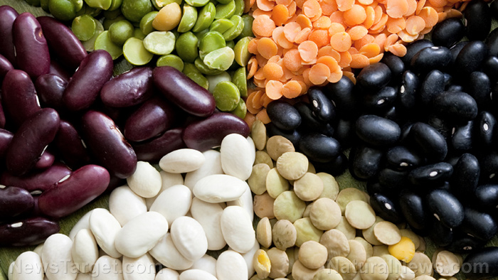 The humble bean: An ancient answer to modern health and economic woes
