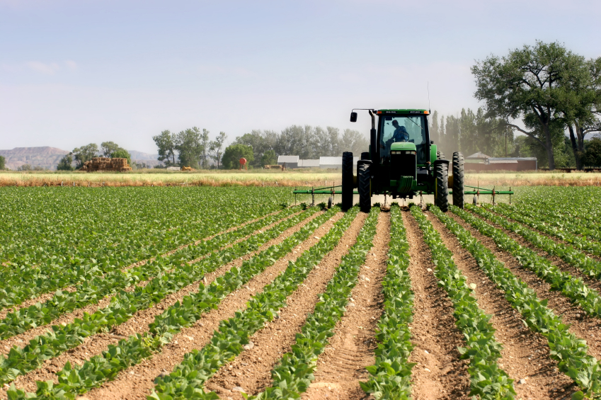 Trump unleashes $8 billion lifeline for farmers drowning in diesel costs