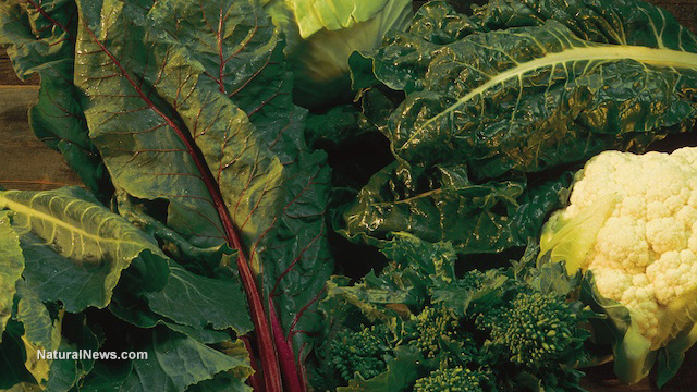 5 Vegetables high in calcium for stronger bones