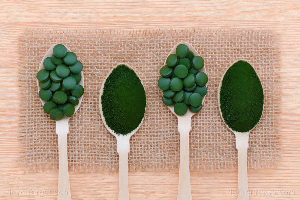 Chlorella: Nature’s tiny green powerhouse making big waves in nutrition