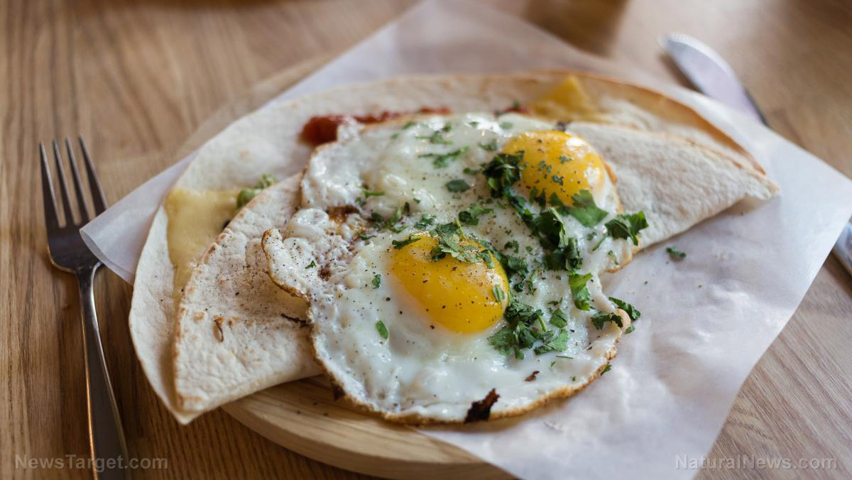 Breakfast staple may shield aging brains: New study challenges decades of dietary dogma
