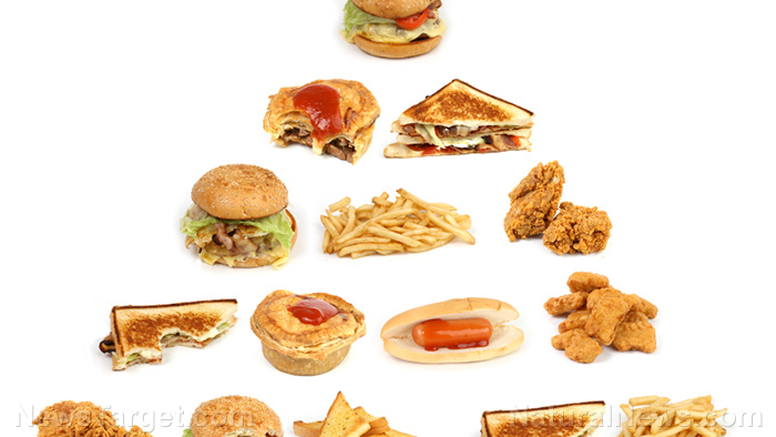 Study reveals junk food drives health and environmental cost