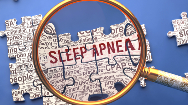 Sleep apneaâs hidden toll: How disrupted breathing reshapes muscle health